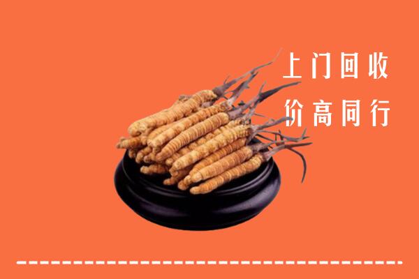 高价求购：嘉峪关回收散虫草