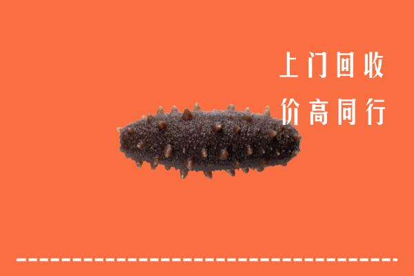 高价求购：嘉峪关回收海参