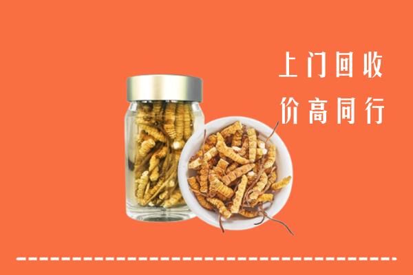 嘉峪关回收冬虫夏草