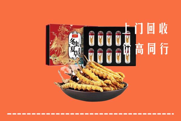 嘉峪关回收虫草